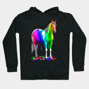 Colorful Rainbow Paint Horse Hoodie